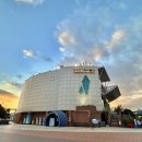 장생포고래로L 이미지