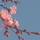 인천세원고등학교 이미지