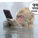 갤럭시24목욕탕 이미지