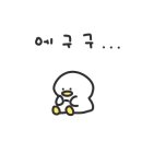 갤럭시크루즈 이미지