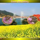 Zoom Out Gallery 이미지