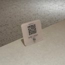 동그라미가든 | [부평 베이지가든]부평 분위기 좋은 양식집 베이지가든 내돈내산 후기