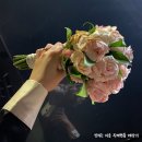 스튜디오데이오프 이미지