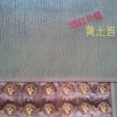 삼웅 이미지