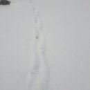 아양사랑숲 이미지