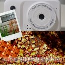 말랑 | 휴그 말랑 디지털 카메라 실사용 후기, y2k감성 사진 모음