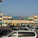 강원도 고성 봉포항 회센터 금강산횟집 내돈내산 후기