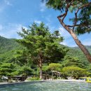 송림농원 이미지