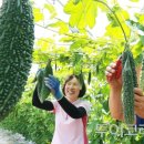 농산물산약초판매장