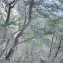 한북정맥을 가다 : 노채고개-원통산-운악산-철암재-운악광장