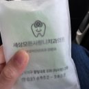 31주 임산부 매복사랑니 발치후기[세상모든사랑니치과]