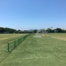 을숙도 인조잔디 축구장 이미지