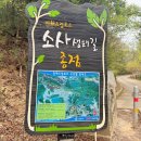 백일아침고요산길 | 진해 드림로드 소사생태길, 용원 출발 트레킹 코스