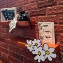 FRIENDS# 주덕점(프렌즈샵 주덕점) | [성수 팝업] 롬앤 X 조앤프렌즈 트렌드팟 방문후기｜예약방법·이벤트·발색체험까지