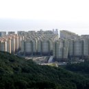 캣슬