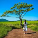 오후게스트하우스 이미지