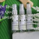 바니홀릭 이미지
