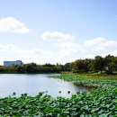 화랑유원지_경기도미술관주변 | 안산 화랑유원지 주차장 및 경기도미술관 무료 전시