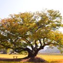 산넘어남촌엔 이미지