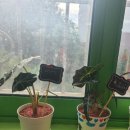 인천만석초등학교 이미지