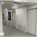 김성록동물병원 | 대구 수성구에서 강아지 건강검진 받은 후기와 추천 장소