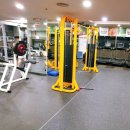 남선공원종합체육관 헬스장 | 대전 남선공원종합체육관 헬스장 솔직후기(37/100)