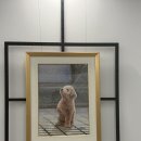 신남주유소 | 팔레트 디저트 : 두쫀쿠 웨이팅 후기