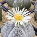 온주농장 이미지