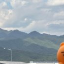 스테이 꿈의대화 이미지