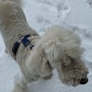 미로객잔 이미지