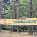 마음소풍 이미지