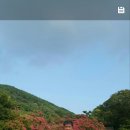 청산카 이미지