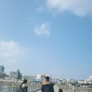쌍포크호떡 이미지
