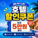 트립닷컴 6월~8월 할인코드 - 호텔, 항공, 투어 할인받는 꿀팁