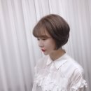 브이컷트