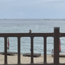 봉포리 상상마당 이미지