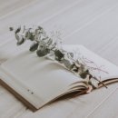 자녀독서 논술지도 이미지