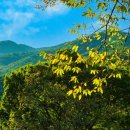 가을여행 이미지