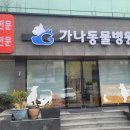 가나동물병원 이미지