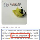 예준치과기공소 | 성남 사랑니 발치, 치과 선택하는 방법? &lt;전문의 작성&gt;