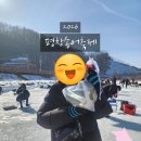 독산1동주민센터 나눔교실2 | 2026 평창 송어 축제 | 송어축제 기본정보 및 직접 체험 후 느낀 팁!