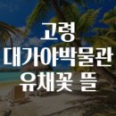 꽃뜰 이미지