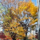 수원선인유도관 이미지