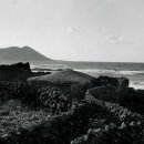 더사이트건축사사무소 이미지