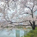 김천실내 수영장 2층 (동편) | 김천단체펜션 밤하늘의별에서 통째로 빌려서 프라이빗하게 사용해 본 후기 A동편 1탄