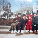보현보민