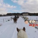 웅지승마센터 이미지