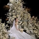 조이플라자 | W2. 더링크호텔 플라자홀 예식 후기! feat. 엘스스냅