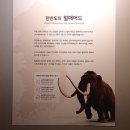 한라산천연보호구역 | 대전 한밭수목원 천연기념물센터 무료 전시 가볼 만한 곳