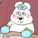 제이씨네 던앤곤 | RIIZING LOUD [2] 내 바다들 보고 왔어요♡⃛